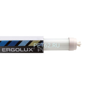 Светодиодная лампа Ergolux LED-Т8-60-10W-G13-6K серия PRO (Эл.лампа светодиодная Т8 10Вт G13 6500К 600 мм 172-265В)