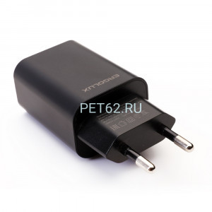 Сетевой адаптер Ergolux ELX-РA01P-C02 ПРОМО (Зарядка 10Вт 1USB, 100-220В, 5V/2А, Черный, Пакет)