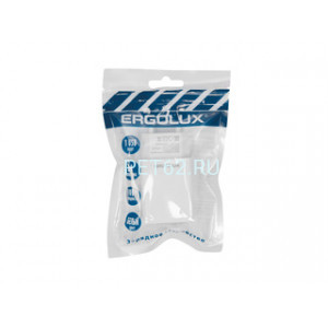 Блок питания ERGOLUX ELX-РA02P-C01 ПРОМО (Сетевой адаптер 10Вт 1USB, 100-220В, 5V/2А, Белый, Пакет)