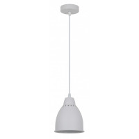 Светильник подвесной Camelion PL-430S-1 LOFT С01 белый